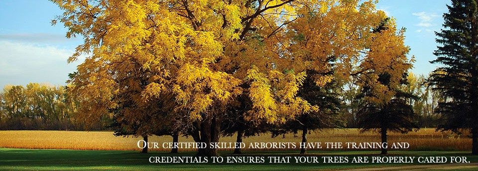 <a href=http://newaygotreeservice.com/slideshow/slide-2/></a>