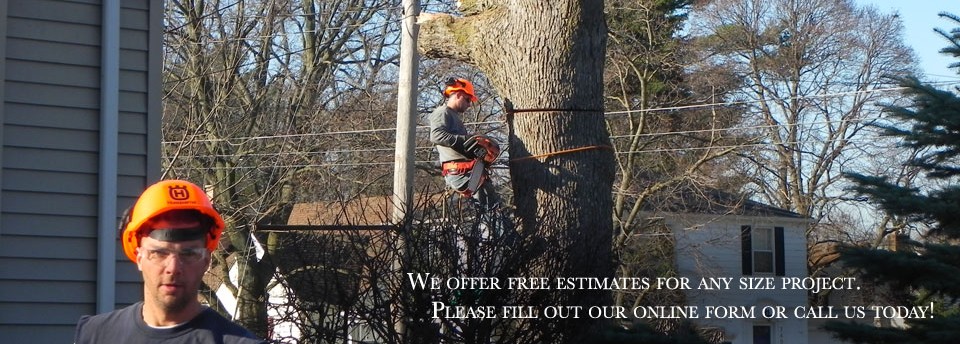 <a href=http://newaygotreeservice.com/slideshow/slide-3/></a>